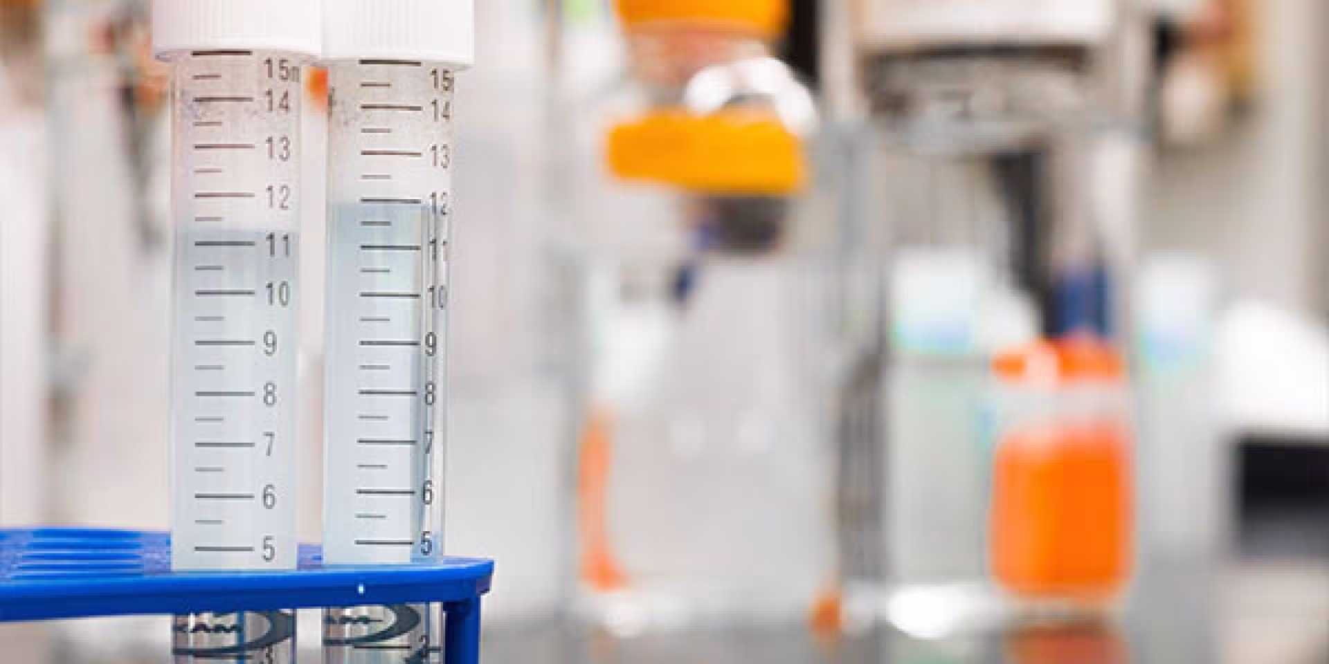Workplace Drug Testing Investigation in Hamilton